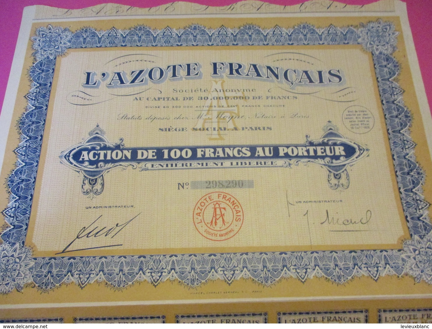 Action De 100 Francs  Au Porteur /L'Azote Français/ /Paris/1928     ACT213 - Elettricità & Gas
