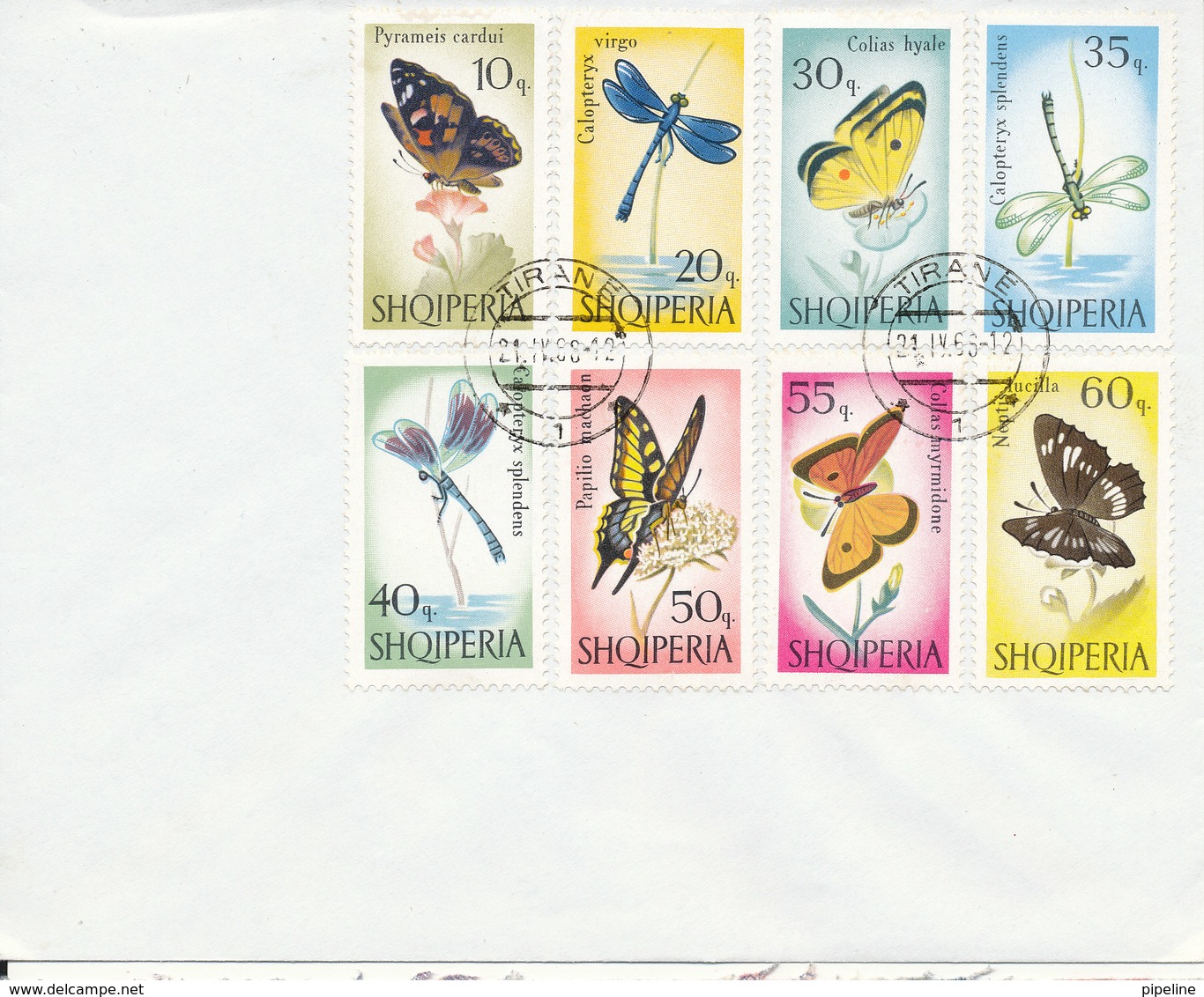 Albania FDC 21-4-1966 Butterflies Complete Set Of 8 Stamps - Albania