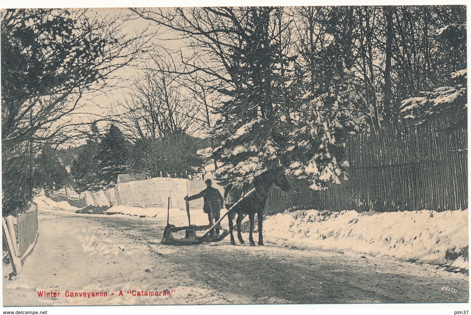 NEWFOUNDLAND, Terre Neuve - Winter Conveyance, A "Catamaran" - Ayre & Sons, St John's - Other & Unclassified