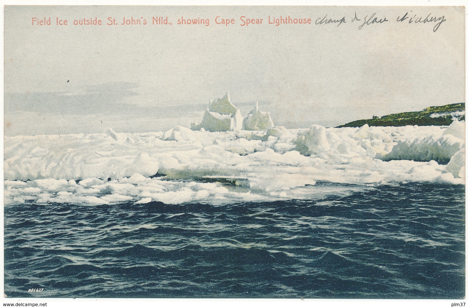 NEWFOUNDLAND, Terre Neuve - Field Ice Showing Cape Spear Lighthouse - Ayre & Sons, St John's - St. John's