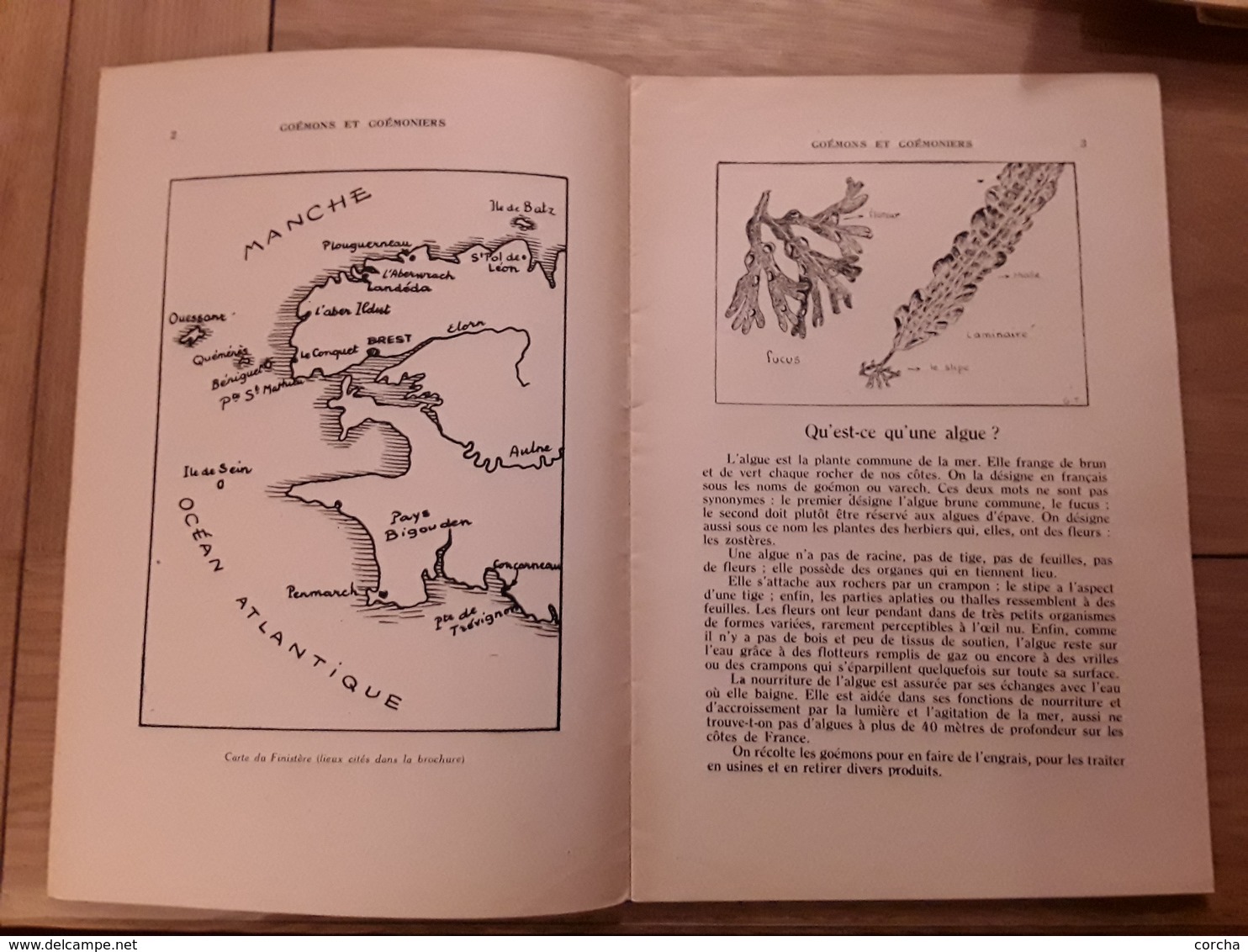 Bibliothèque De Travail N° 96 - Goemons Et Goemoniers - 6-12 Ans