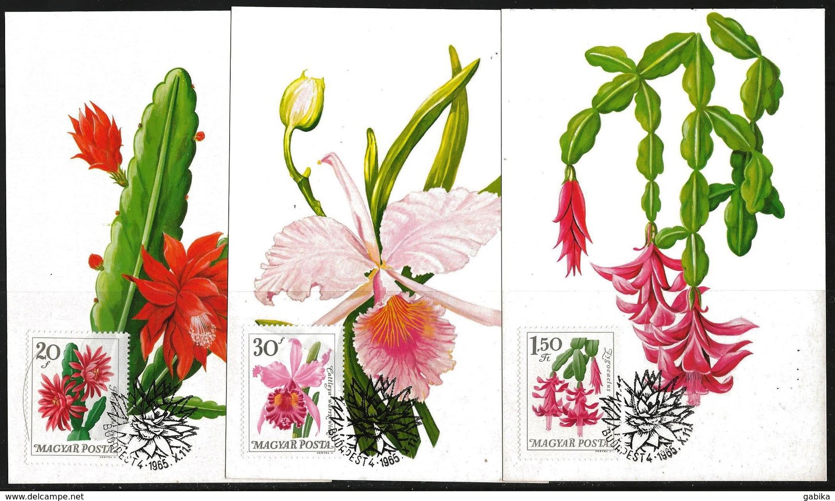 Hungary 1965 Maximum Cards (3 Scan) Cactus Flowers - Covers & Documents