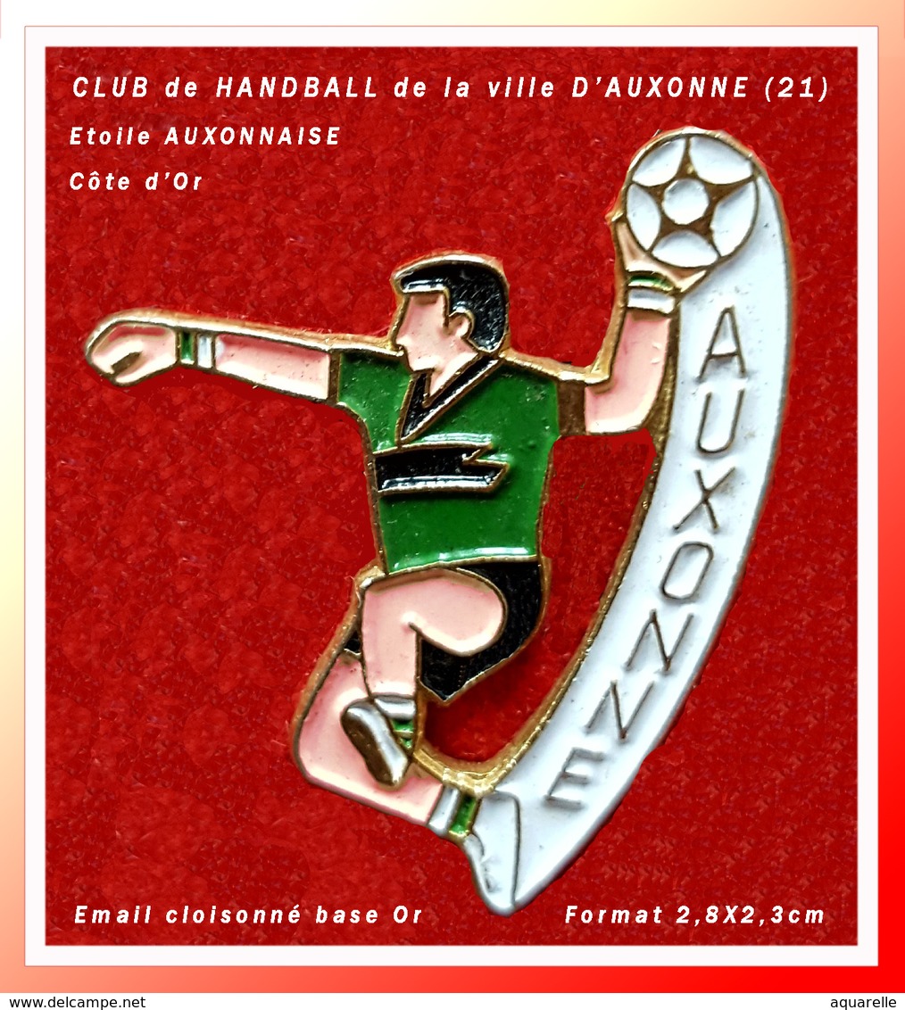 SUPER PIN'S Ville D'AUXONNE (21) : CLUB De HANDBALL D'AUXONNE En émail Cloisonné Base Or, Format 2,8X2,3cm - Villes