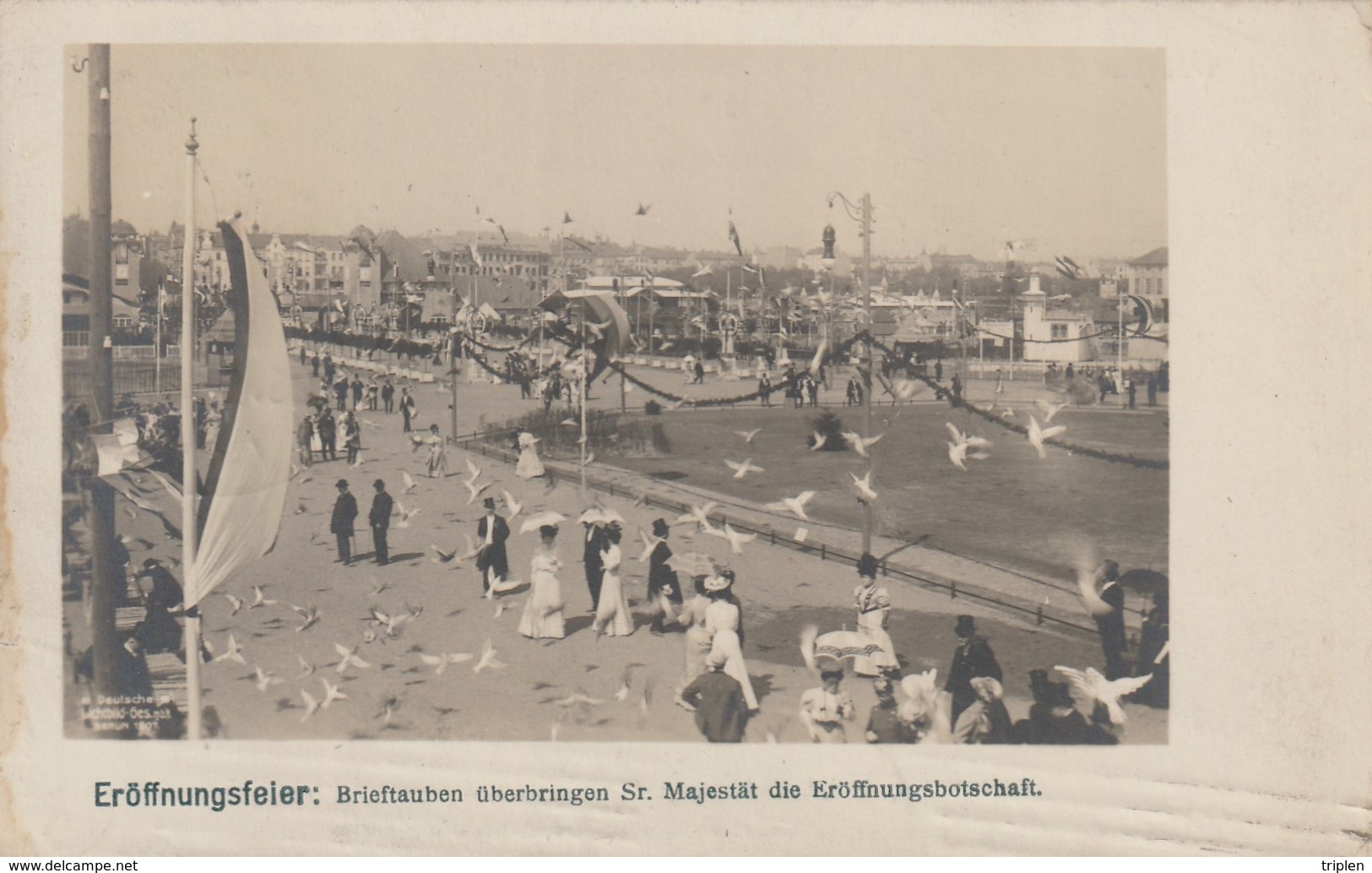 Kolonial Austellung Berlin 1907 - Eröffnungsfeier - Brieftauben überbringen Sr. Majestät Die Eröffnungsbotschaft - Otros & Sin Clasificación