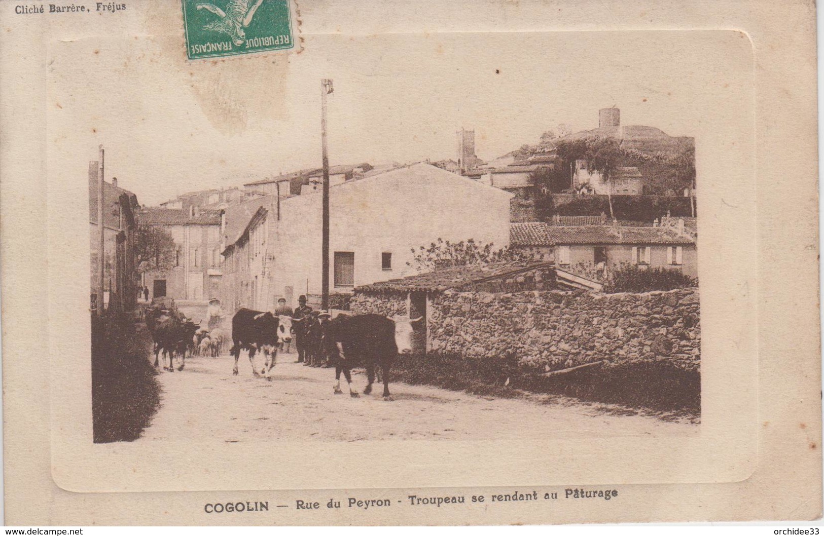 CPA Cogolin - Rue Du Peyron - Troupeau (vaches Et Moutons) Se Rendant Au Pâturage (belle Scène) - Pourtour En Relief - Cogolin