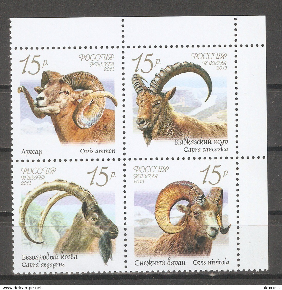 Russia 2013,Animals,Bighorn Rams,Block Of 4,Scott # 7422a-d,VF MNH** - Unused Stamps