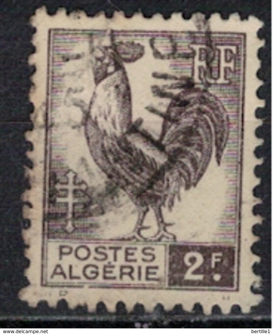 ALGERIE        N°  YVERT    221      OBLITERE       ( O   2/42 ) - Oblitérés