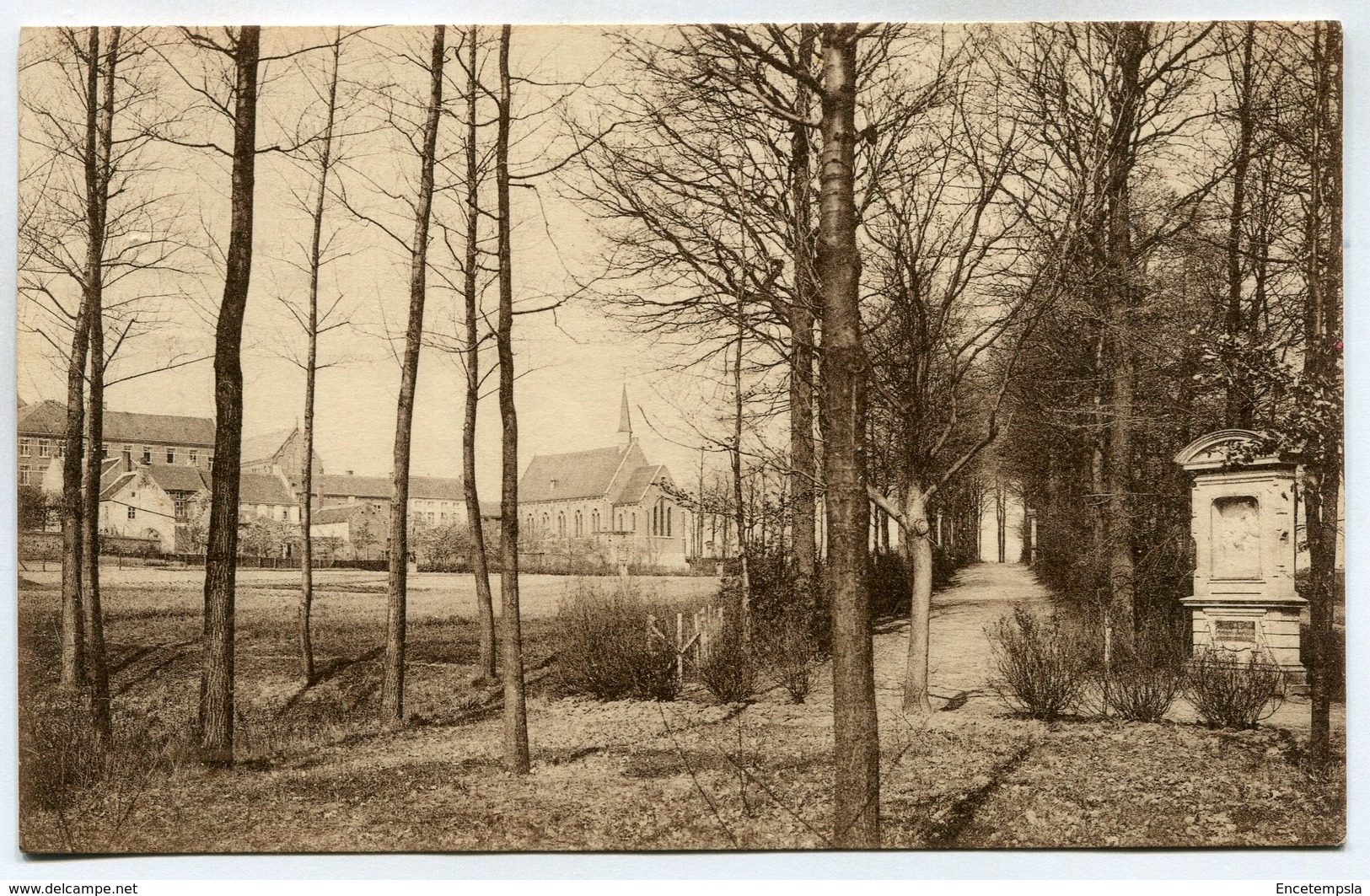 CPA - Carte Postale - Belgique - Montaigu - Vue D'Ensemble - 1903  ( DD7280) - Scherpenheuvel-Zichem