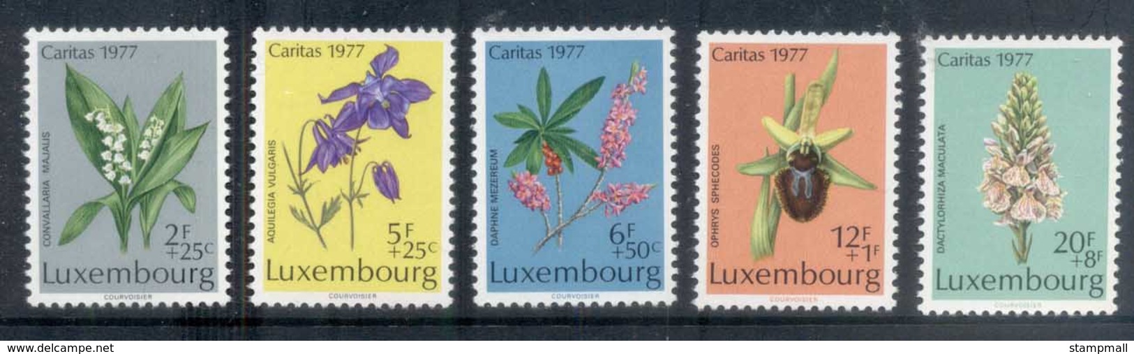 Luxembourg 1977 Welfare, Flower MUH - Ungebraucht