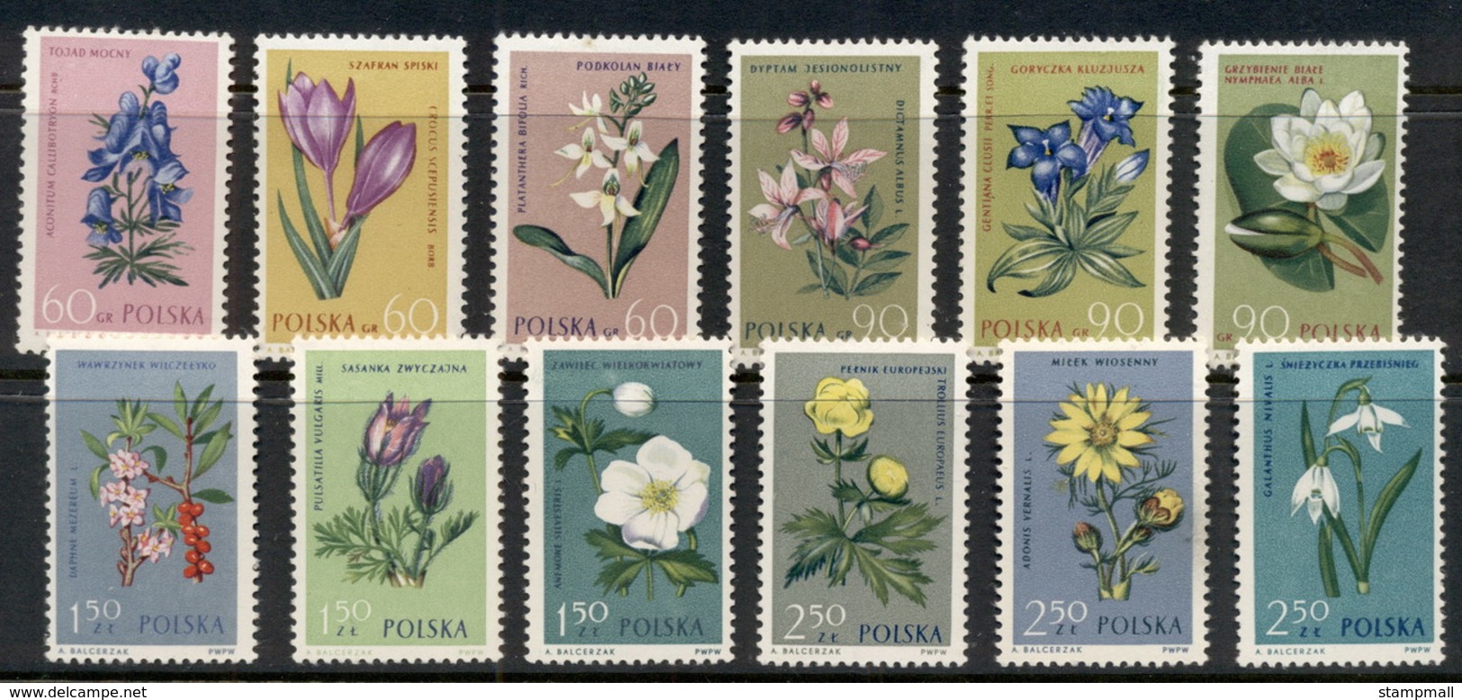 Poland 1962 Flowers MUH - Unused Stamps