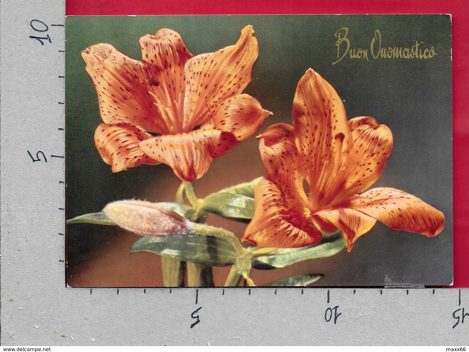 CARTOLINA VG ITALIA - FIORI - Lilium - NOVACOLOR - 10 X 15 - ANN. 1963 - Fiori