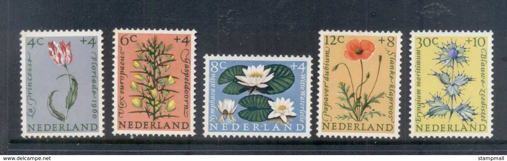 Netherlands 1960 Welfare, Flowers MLH - Non Classés