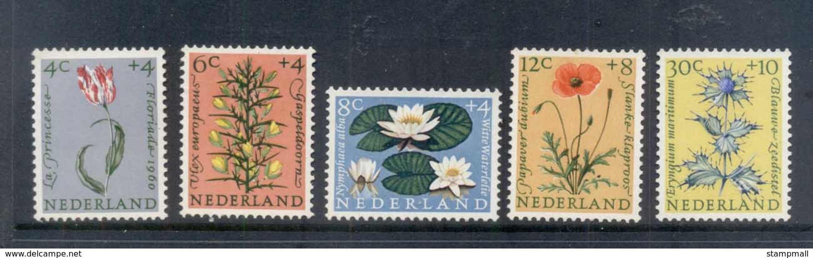 Netherlands 1960 Welfare, Flowers MLH - Unclassified