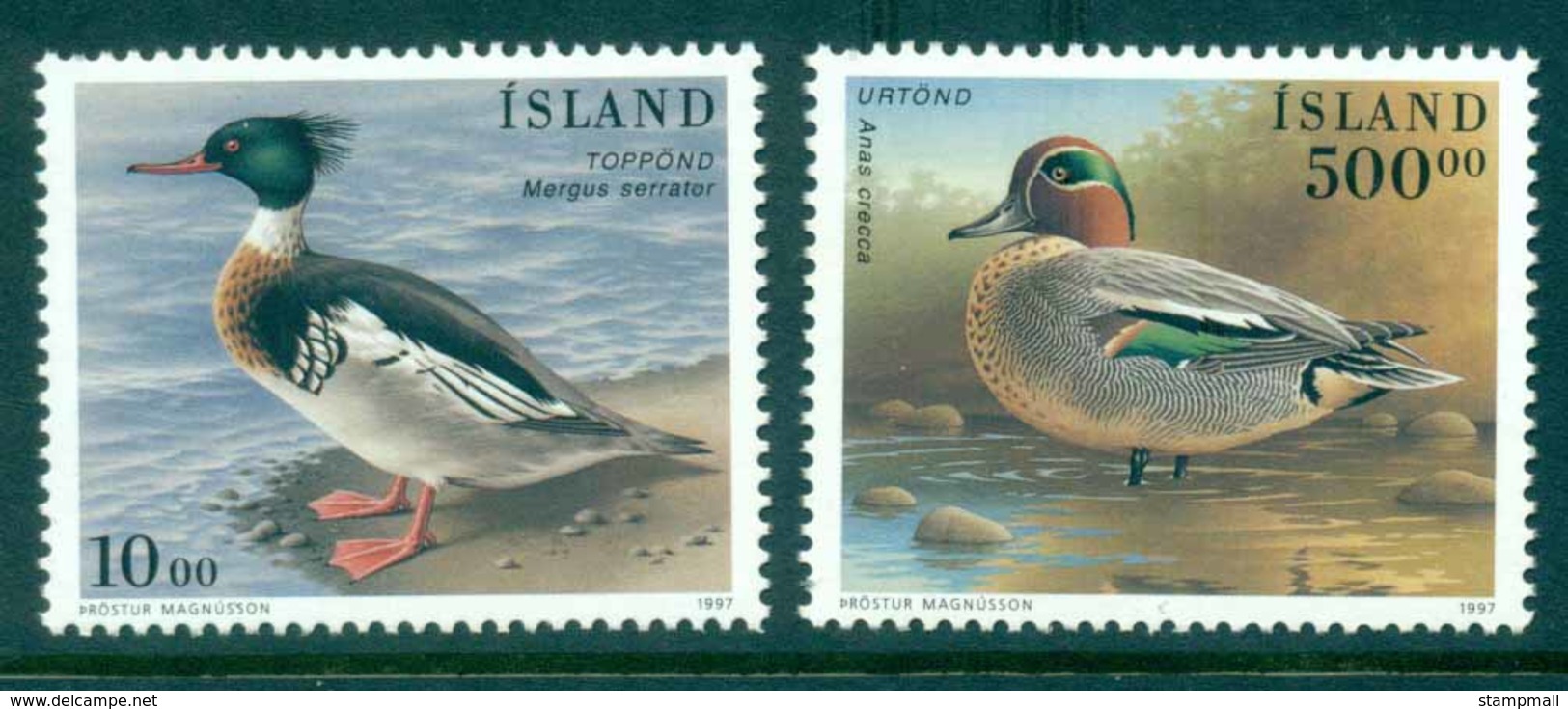 Iceland 1997 Birds (500k, Pulled Perf) MUH Lot32442 - Unused Stamps