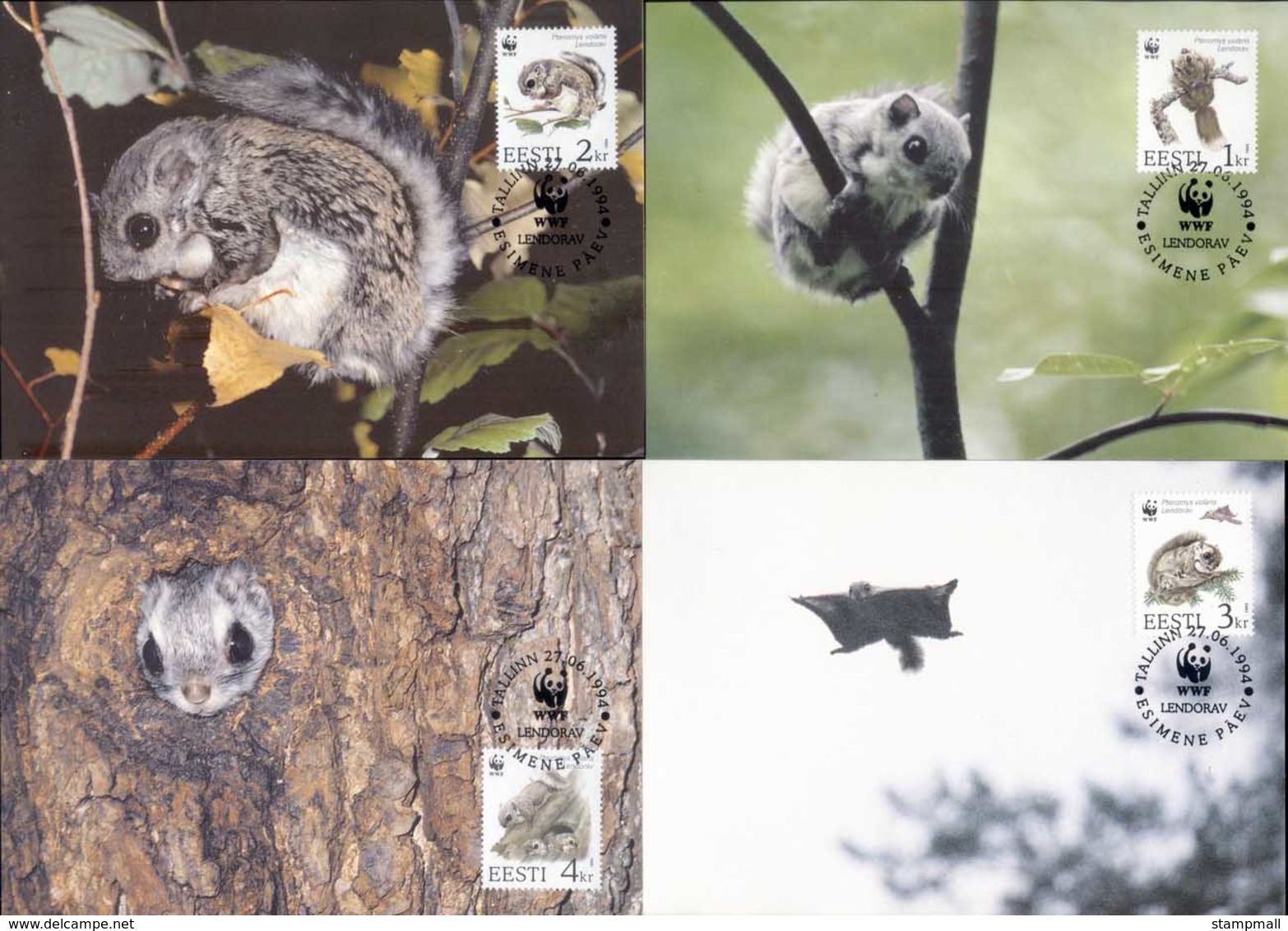 Estonia 1994 WWF European Flying Squirrel Maxicards - Estonia