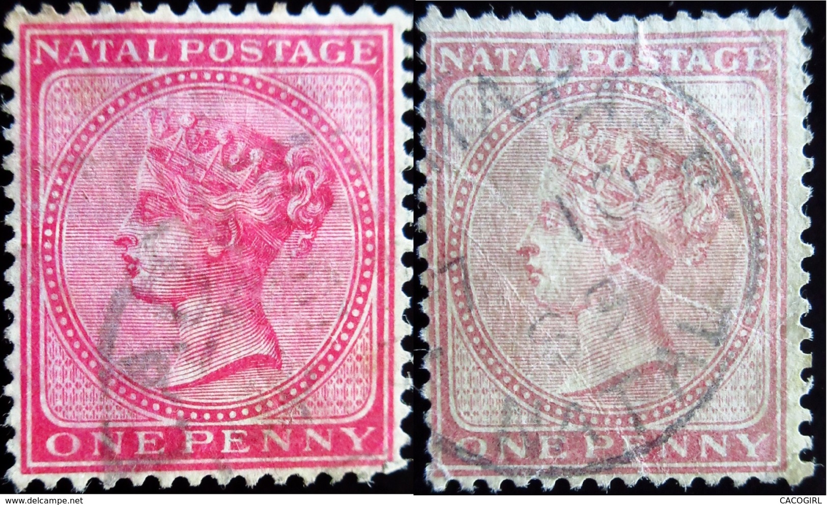 1874 Natal . Mi 28, Yt 29 . Queen Victoria (to The Left) . . Oblitéré Used - Natal (1857-1909)