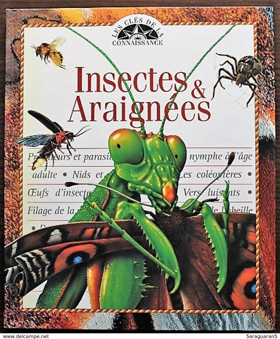 LIVRE ILLUSTRE - LES CLES DE LA CONNAISSANCE - 17 - Insectes Et Araignées - Autres & Non Classés