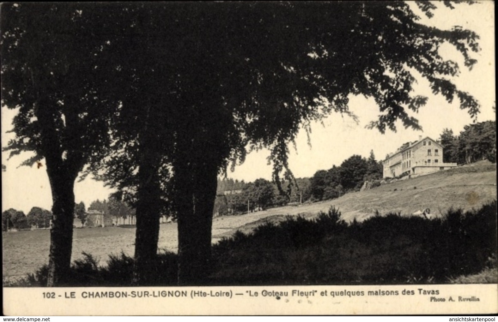 Cp Le Chambon Sur Lignon Haute Loire, Le Goteau Fleuri Et Quelques Maisons Des Tavas - Autres & Non Classés