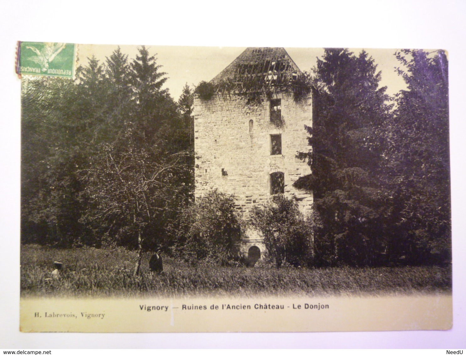 GP 2019 - 246  VIGNORY  (Haute-Marne)  :  Ruines De L'ancien Château  -  Le  DONJON   XXX - Vignory