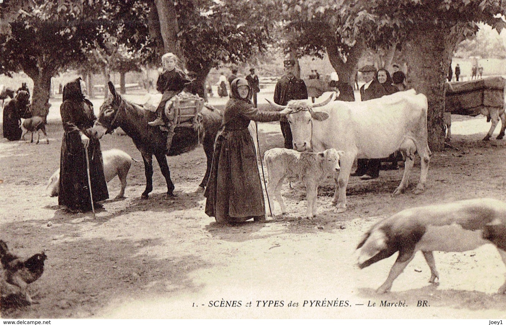 Cpa Scènes Et Types Des Pyrénées,le Marché. - Mercati