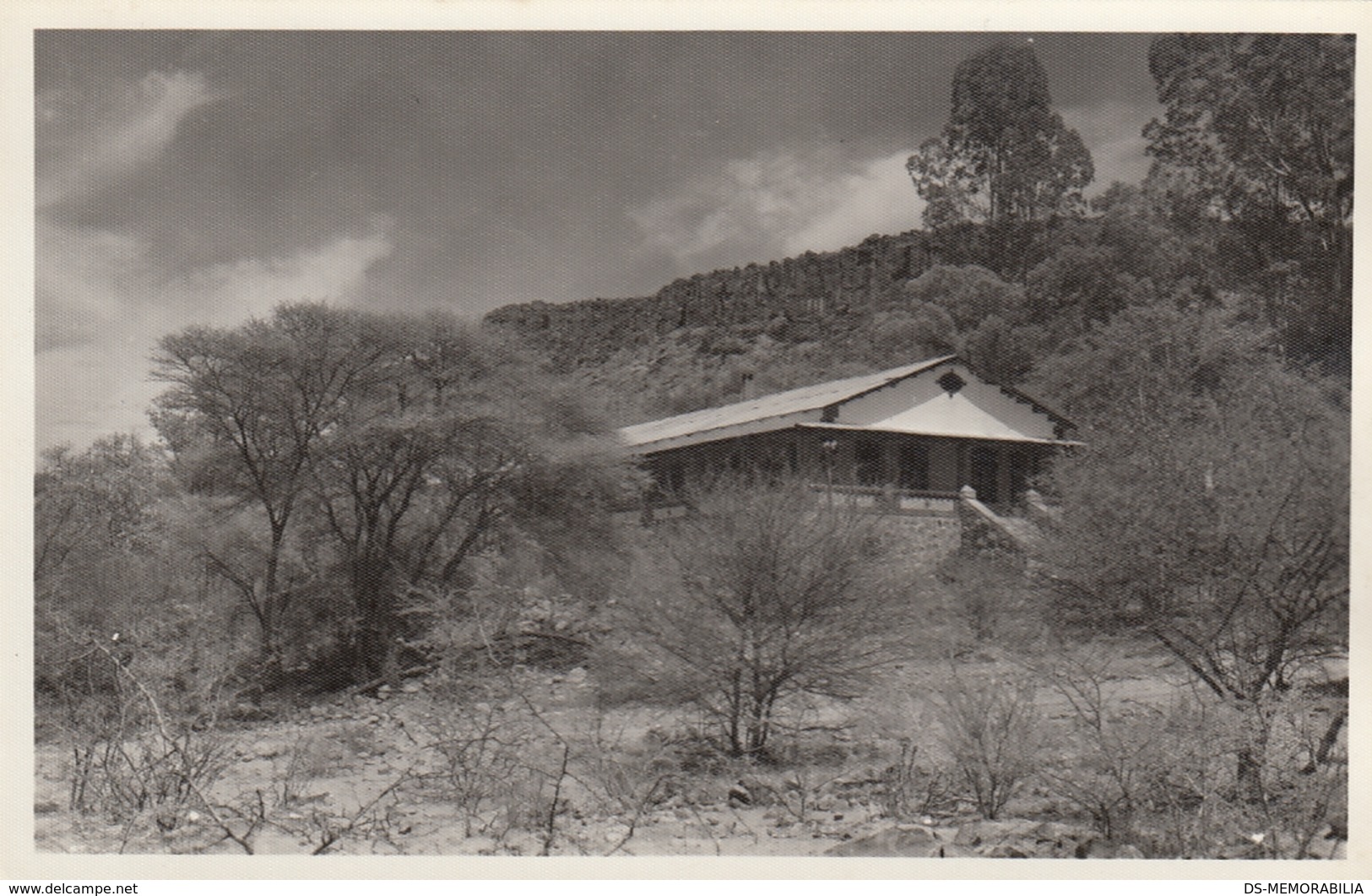 Namibia Waterberg Real Photo Postcard - Namibie