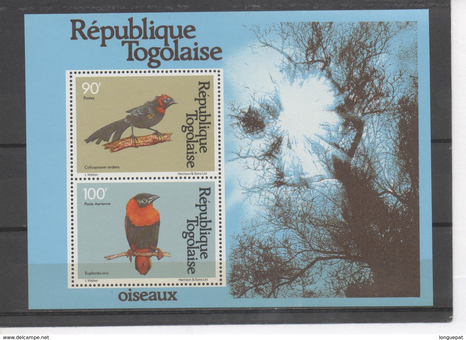 TOGO - Faune - Oiseaux : Euplecte Veuve-noire (Coliuspasser Ardens) , Euplecte Ignicolore (euplectes Orix) - Togo (1960-...)