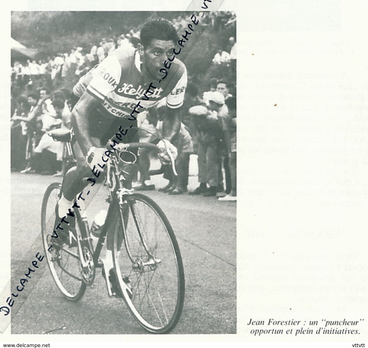 CYCLISME : PHOTO (1956), TOUR DES FLANDRES, JEAN FORESTIER S'IMPOSE AU SPRINT, COUPURE LIVRE - Cyclisme