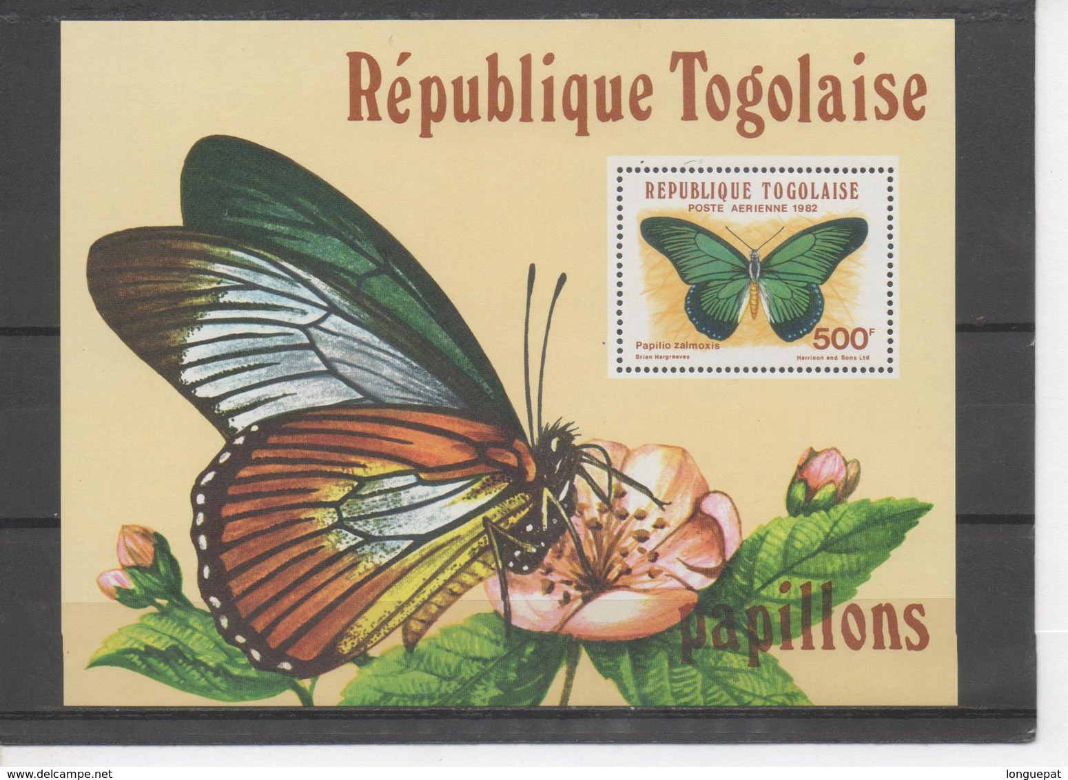 TOGO - Faune - Papillon  : Papilio Zelmoxis (machaon Bleu Géant) - Lépidoptère - Insecte - Togo (1960-...)