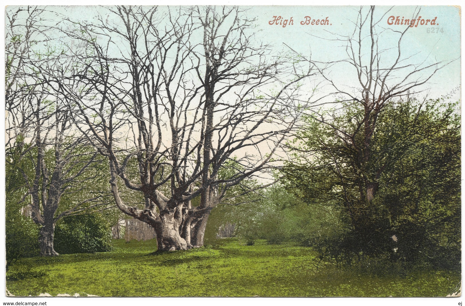 High Beech Chingford Waltham Forest London - Postmark 1904 - London Suburbs