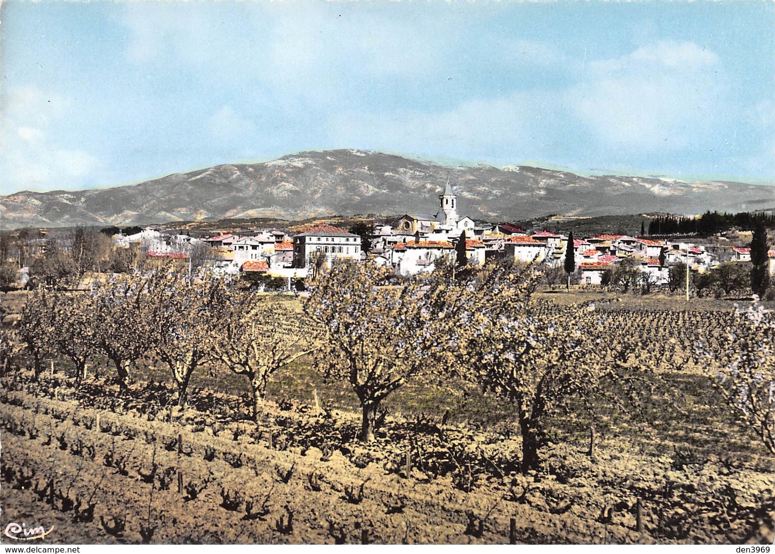 Mazan - Vue Générale - Au Fond Le Mont Ventoux - Vignes - Mazan