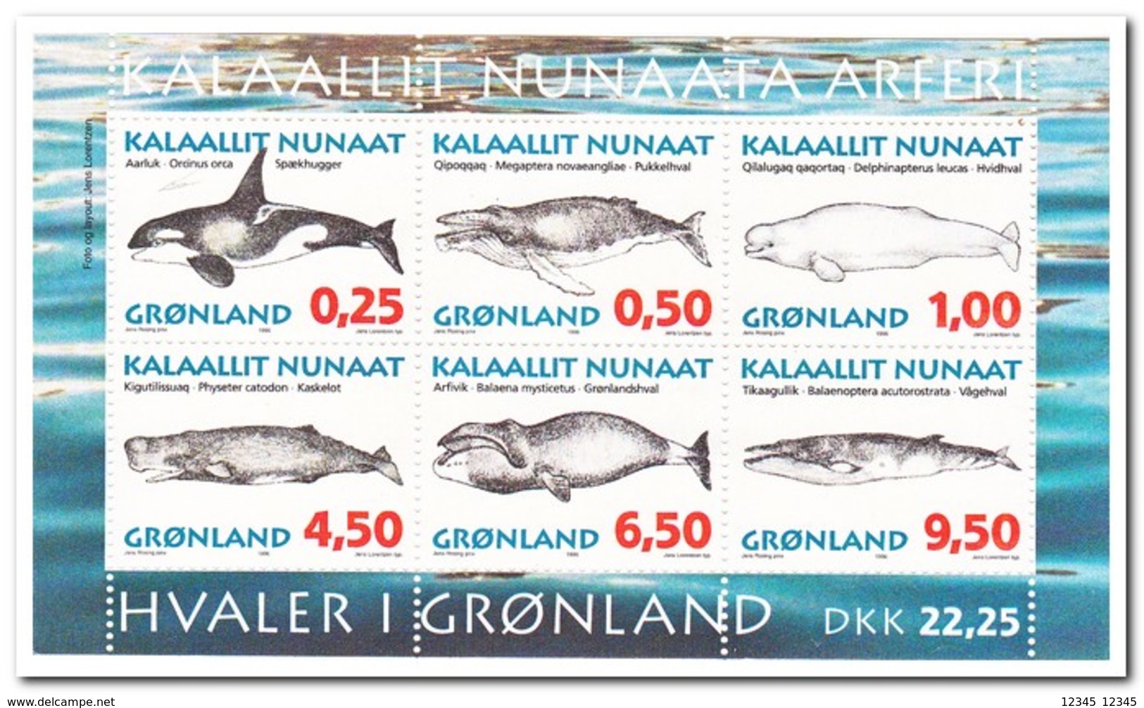 Greenland 1996, Postfris MNH, Fish - Nuevos