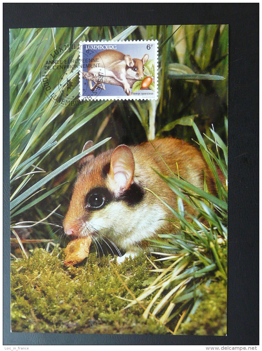 Carte Maximum Card Souris Mouse Oblit. Année Européenne De L'environnement Luxembourg 1987 - Cartoline Maximum