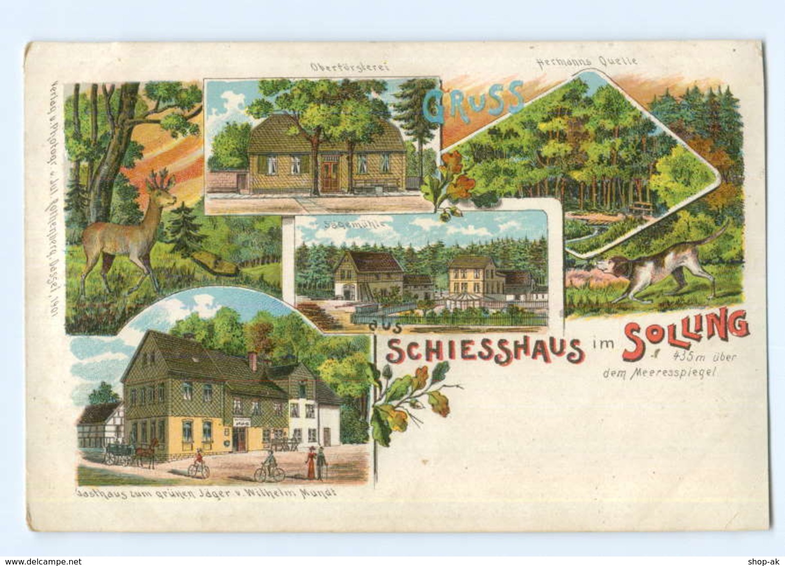 T5362-3457/ Schiesshaus Im Solling Bei Deensen Litho AK Ca.1900 - Autres & Non Classés