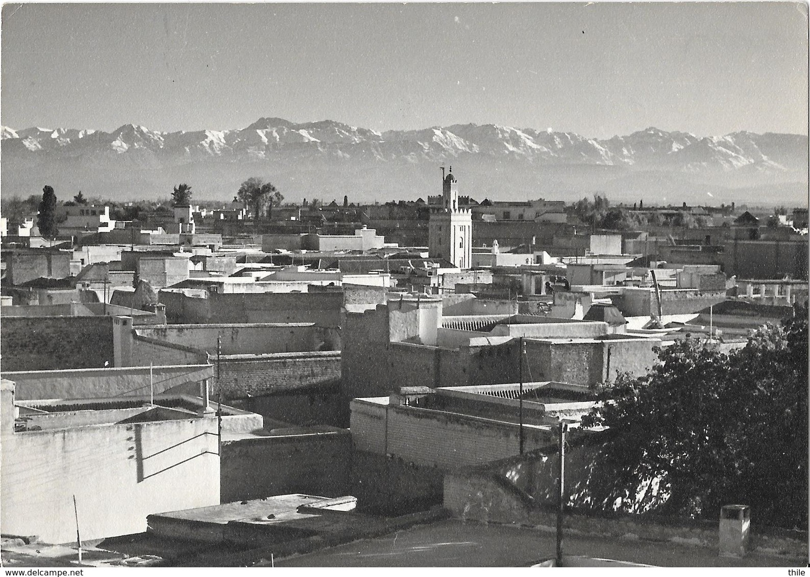 MARRAKECH - Panorama Avec Atlas - Marrakech