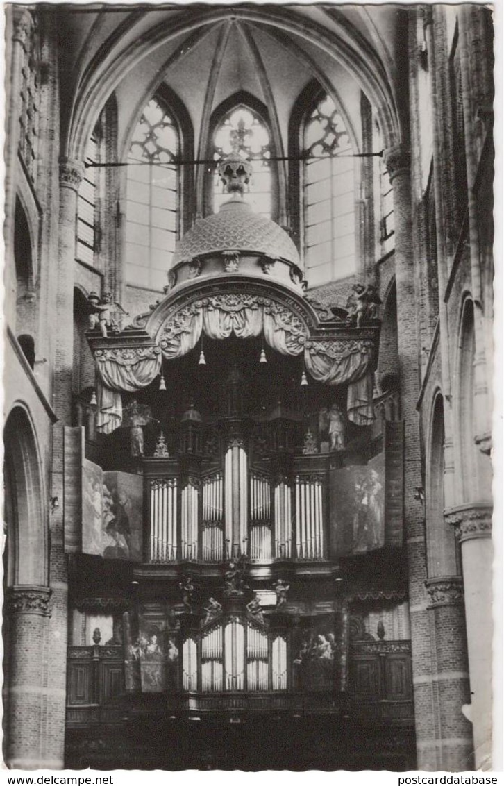 Grote Of Maria Magdalenakerk Goes - Front Van Het Orgel - & Orgel, Organ, Orgue - Goes