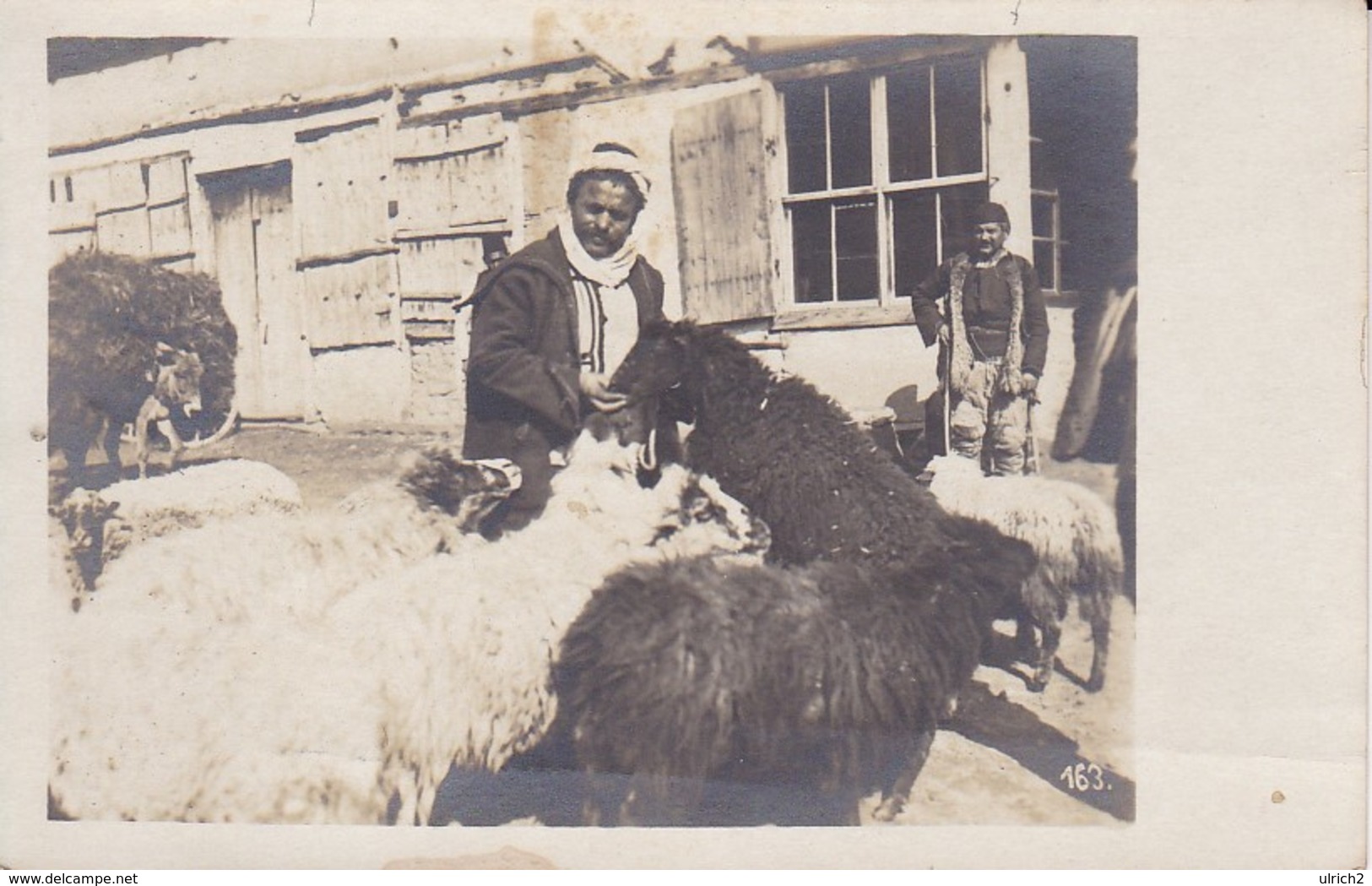 AK Foto Hirte Mit Schafen - Südosteuropa - Ca. 1915 (39441) - Europe