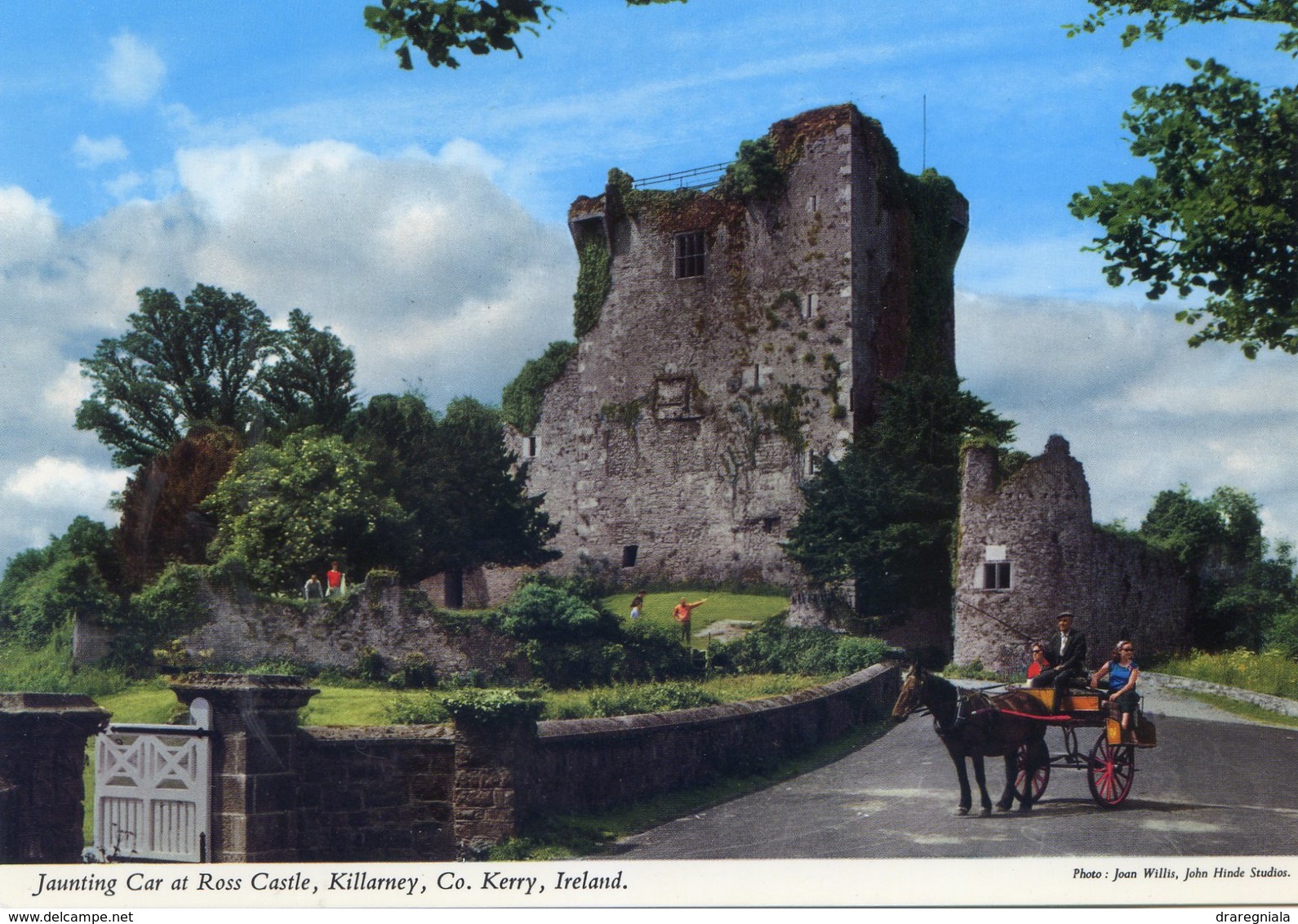 Jaunting Car At Ross Castle , Killarney , Co. Kerry , Ireland - Kerry