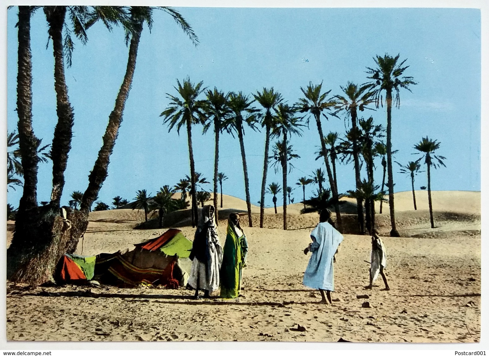 #657  Bedouin Camp In The Sahara Desert, South ALGERIA, North Africa - Postcard - Afrique