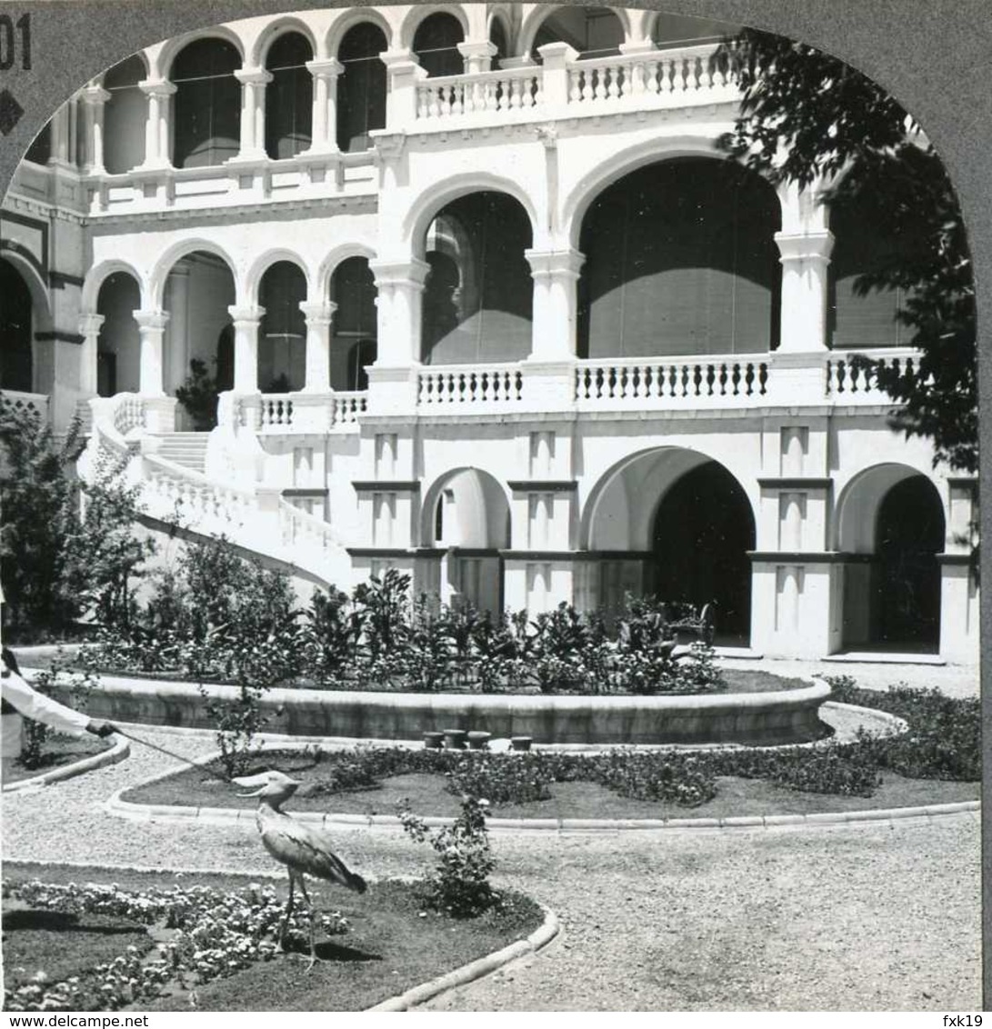 Africa Sudan ~ KHARTOUM ~ Sirdar's Palace & Shoebill Stork Stereoview 33750 801 - Photos Stéréoscopiques