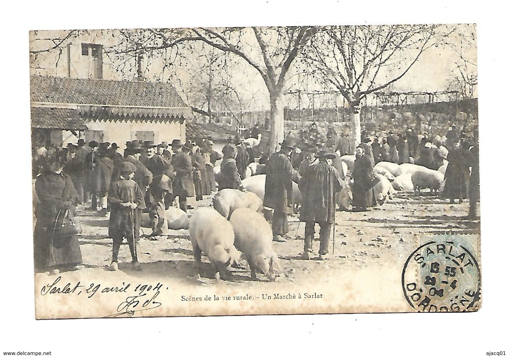 24 Sarlat Marché Aux Cochons A Sarlat - Sarlat La Caneda