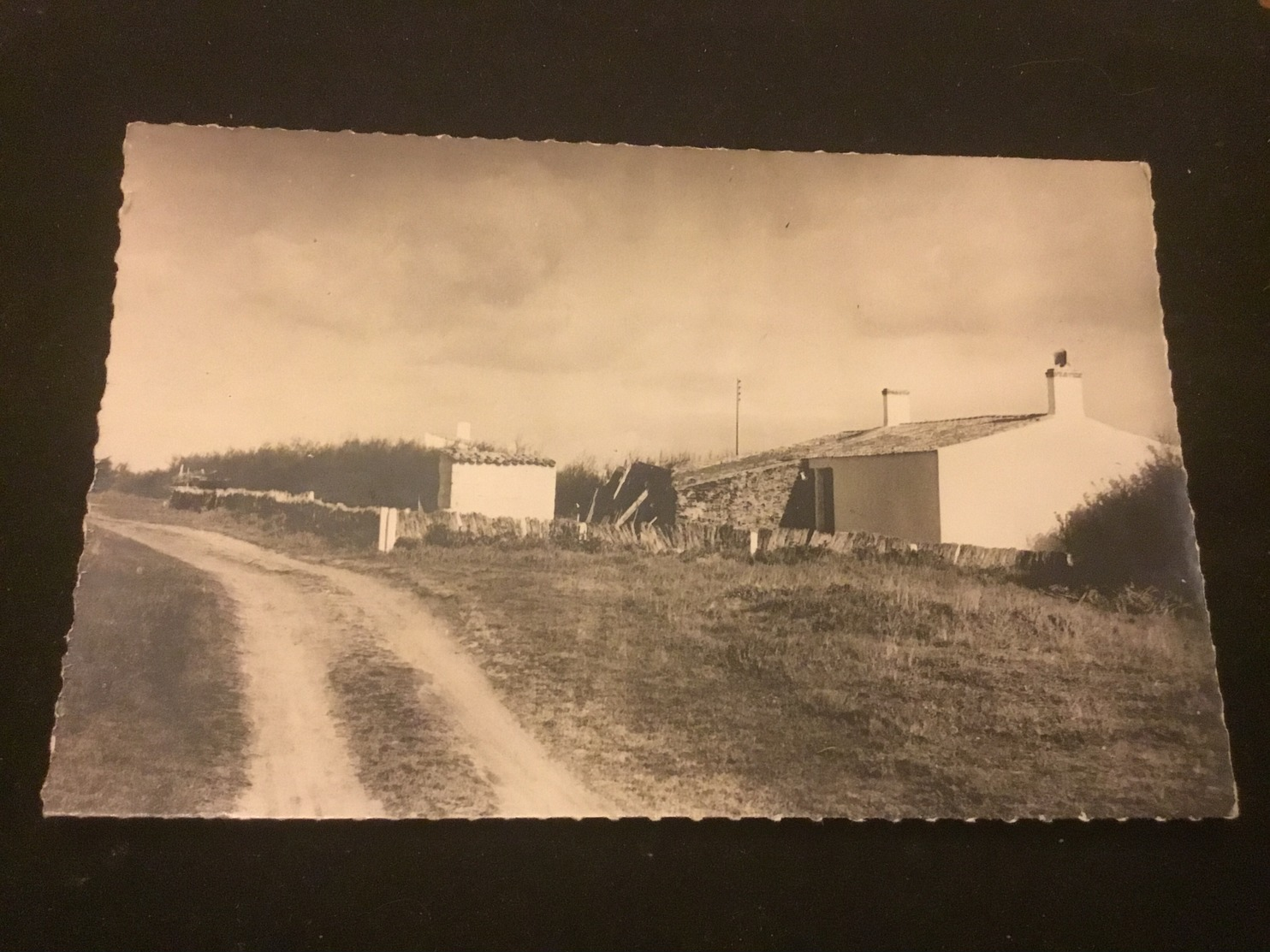 Île D Yeu Maisons Oyaciennes  Cpsm - Ile D'Yeu