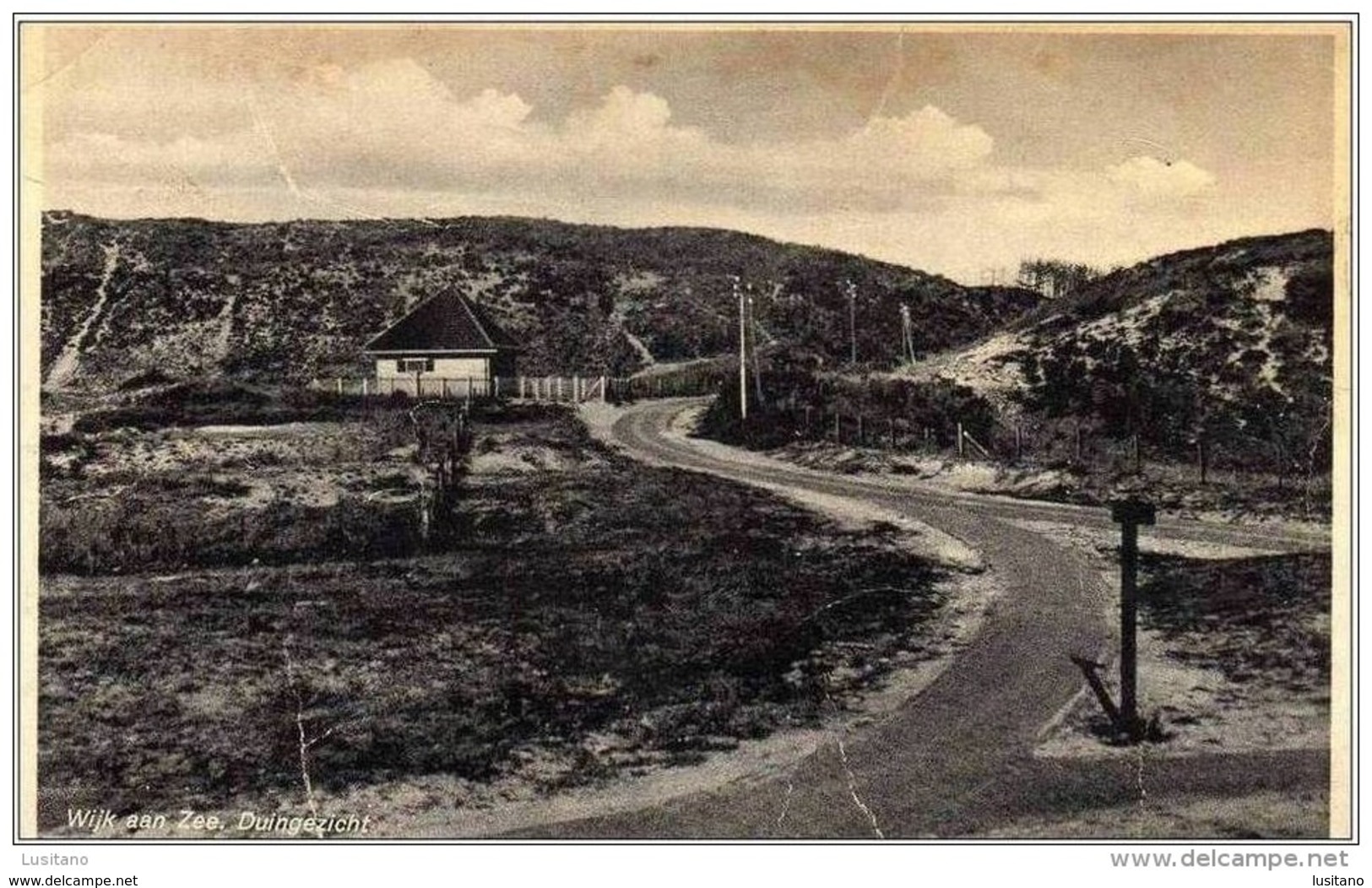 Duingezicht - Wijk Aan Zee - Netherlands ( 2 Scans) - Wijk Aan Zee