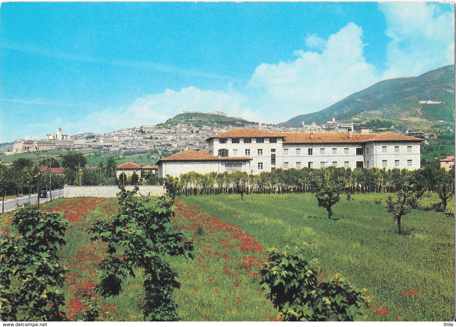 Il Cenacolo Francescano S. Antonio Con Lo Sfondo Di Assisi - Perugia