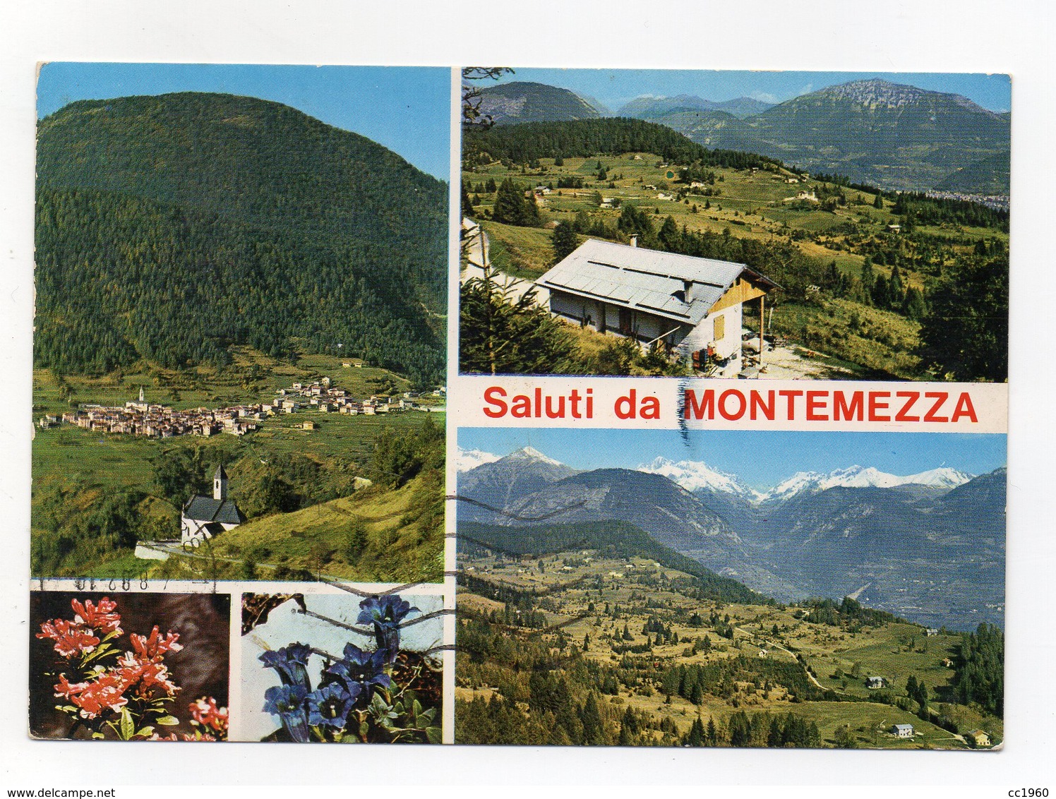 Cinte Tesino (Trento) - Saluti Da Montemezza - Viaggiata Nel 1982 - (FDC14196) - Trento