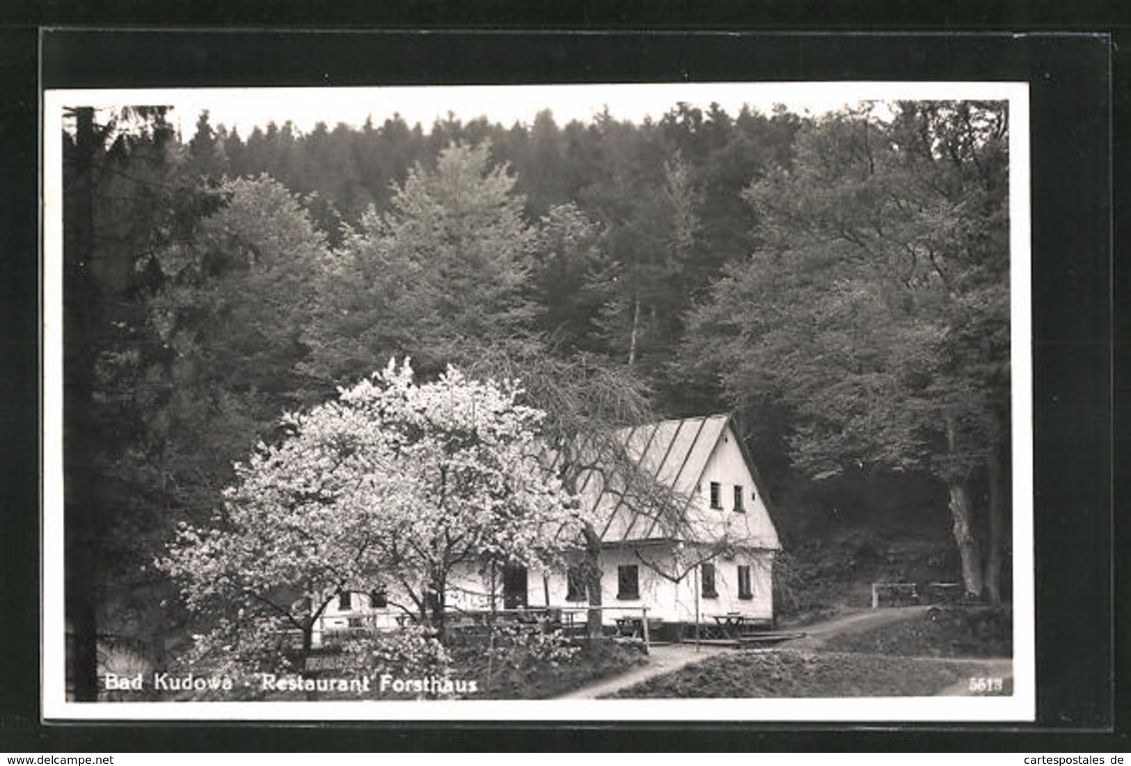 AK Bad Kudowa, Restaurant Forsthaus Im Frühling - Schlesien