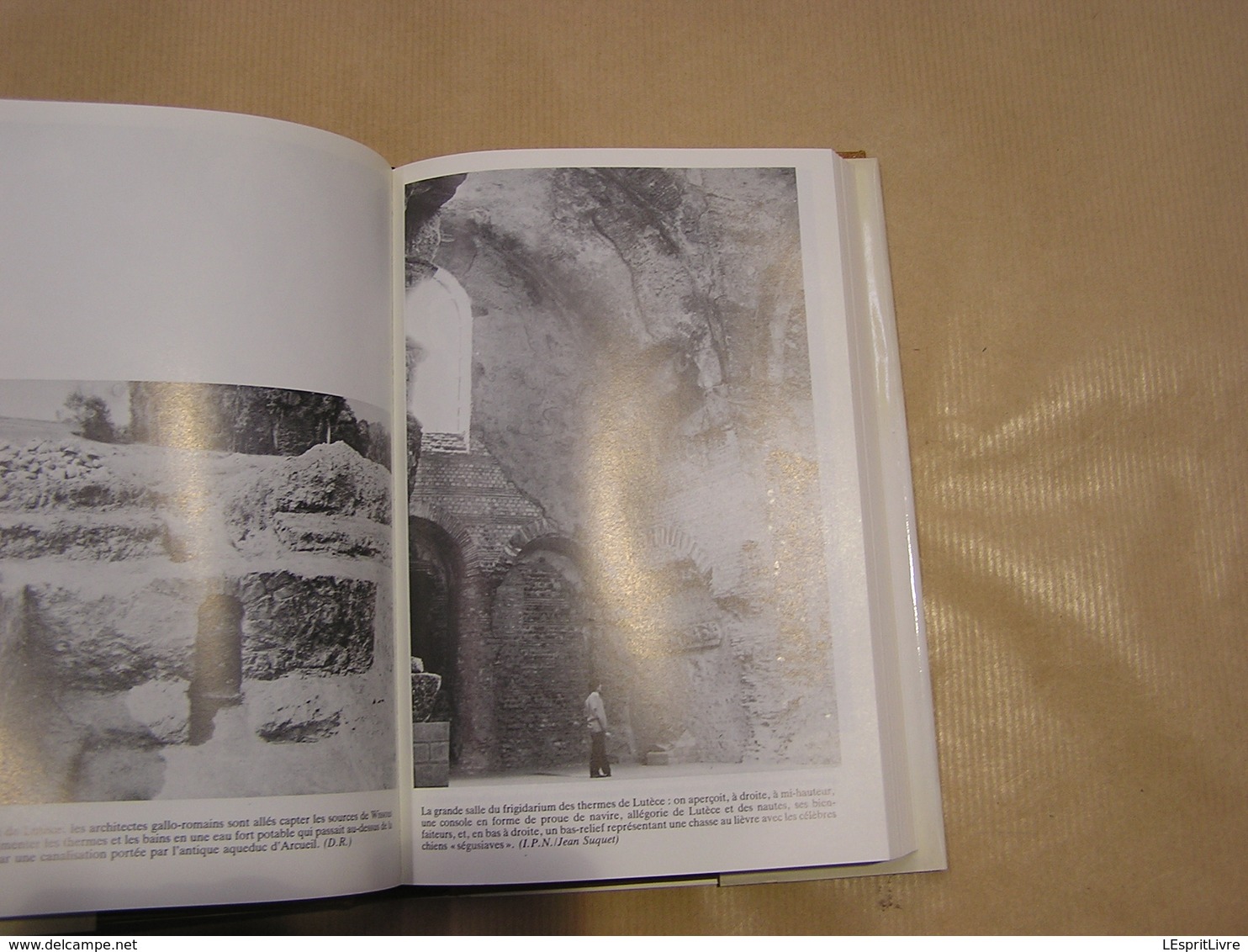 LUTECE Paris Des Origines à Clovis Histoire France Epoque Romaine Moyen Age Gallo Romain Gaule Antique