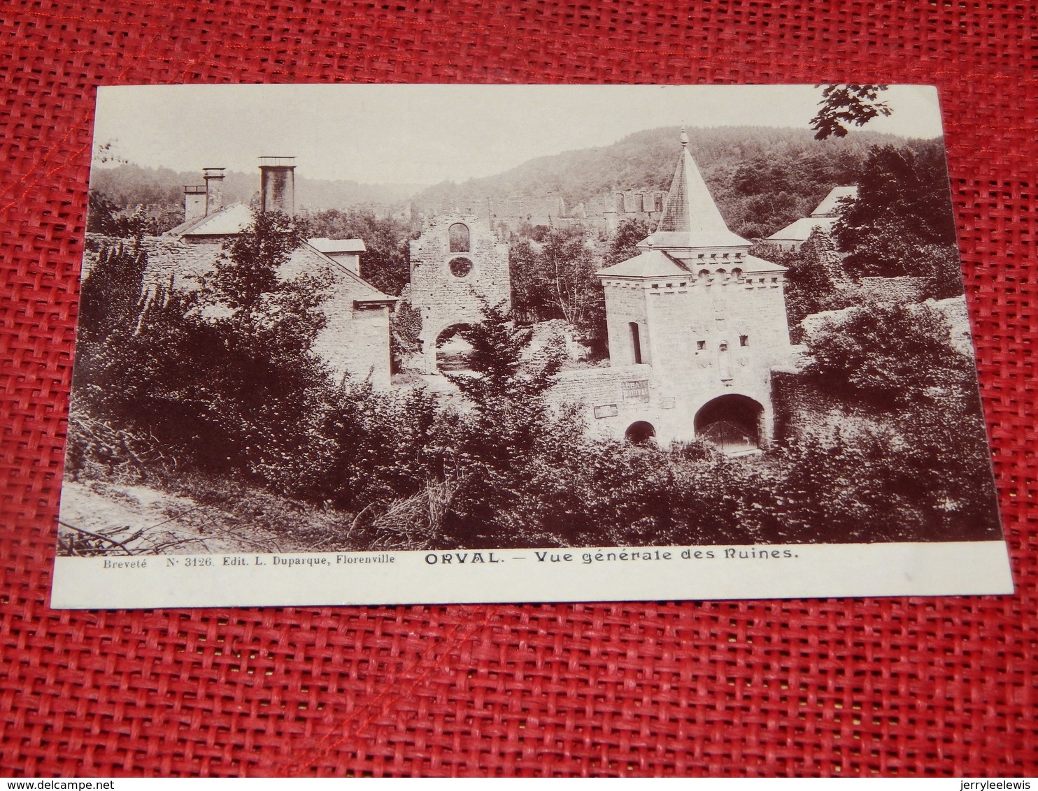 VILLERS-devant-ORVAL  -  Vue Générale Des Ruines - Florenville