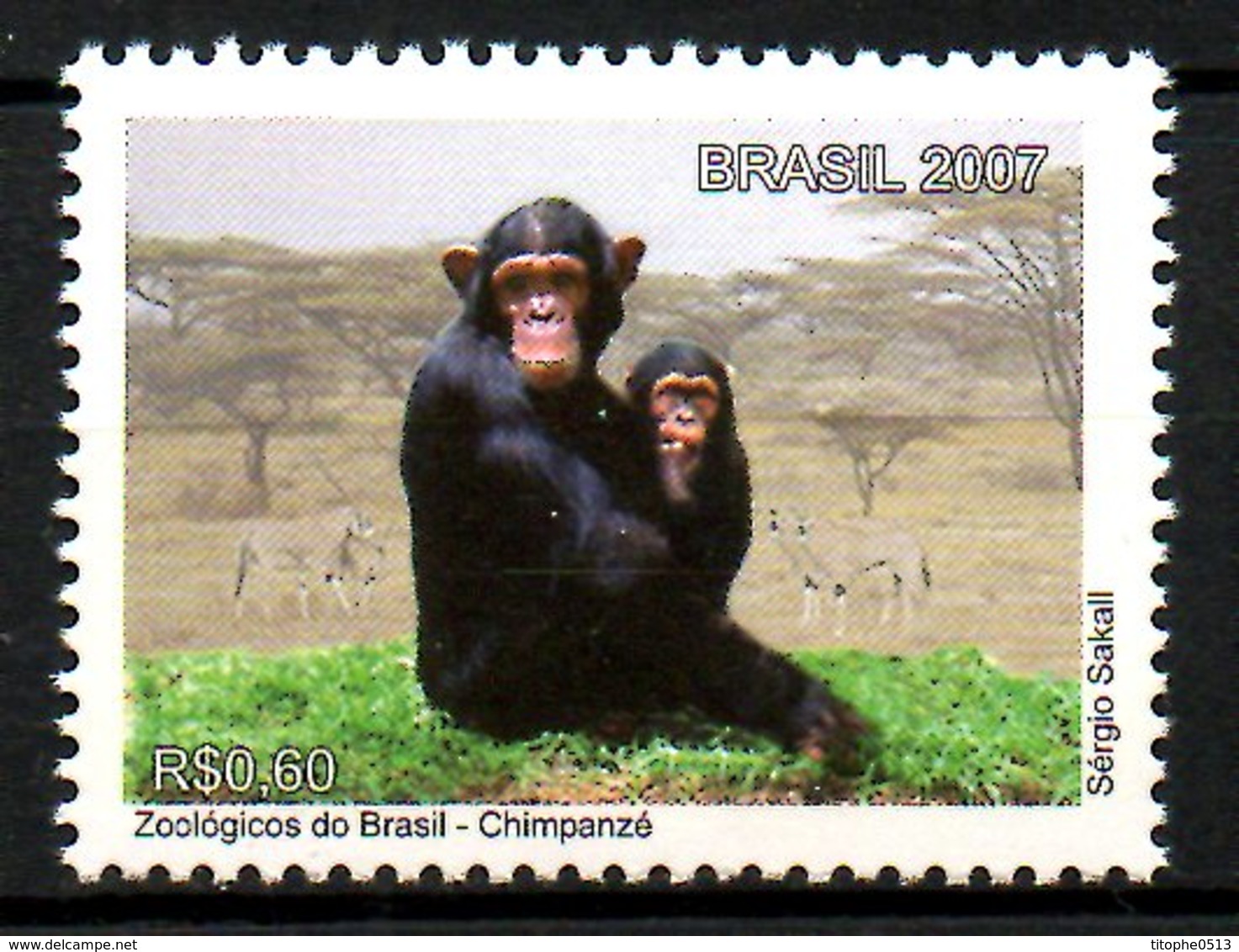 BRESIL. N°2991 De 2007. Chimpanzé. - Chimpanzés