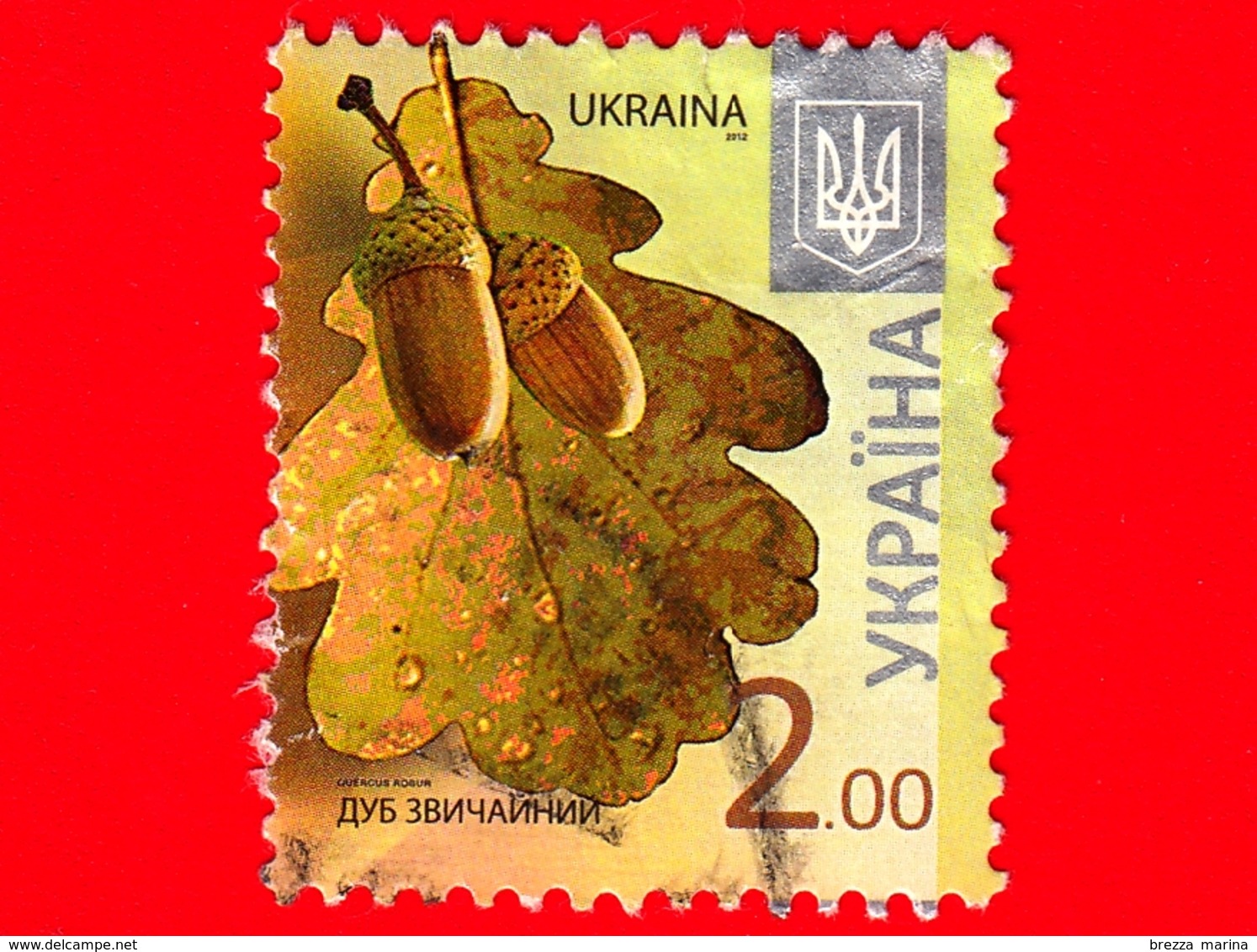 UCRAINA  - Usato - 2012 - Piante - Flora - Farnia - Quercus Robur - Ottava Edizione - 2.00 - Ucraina