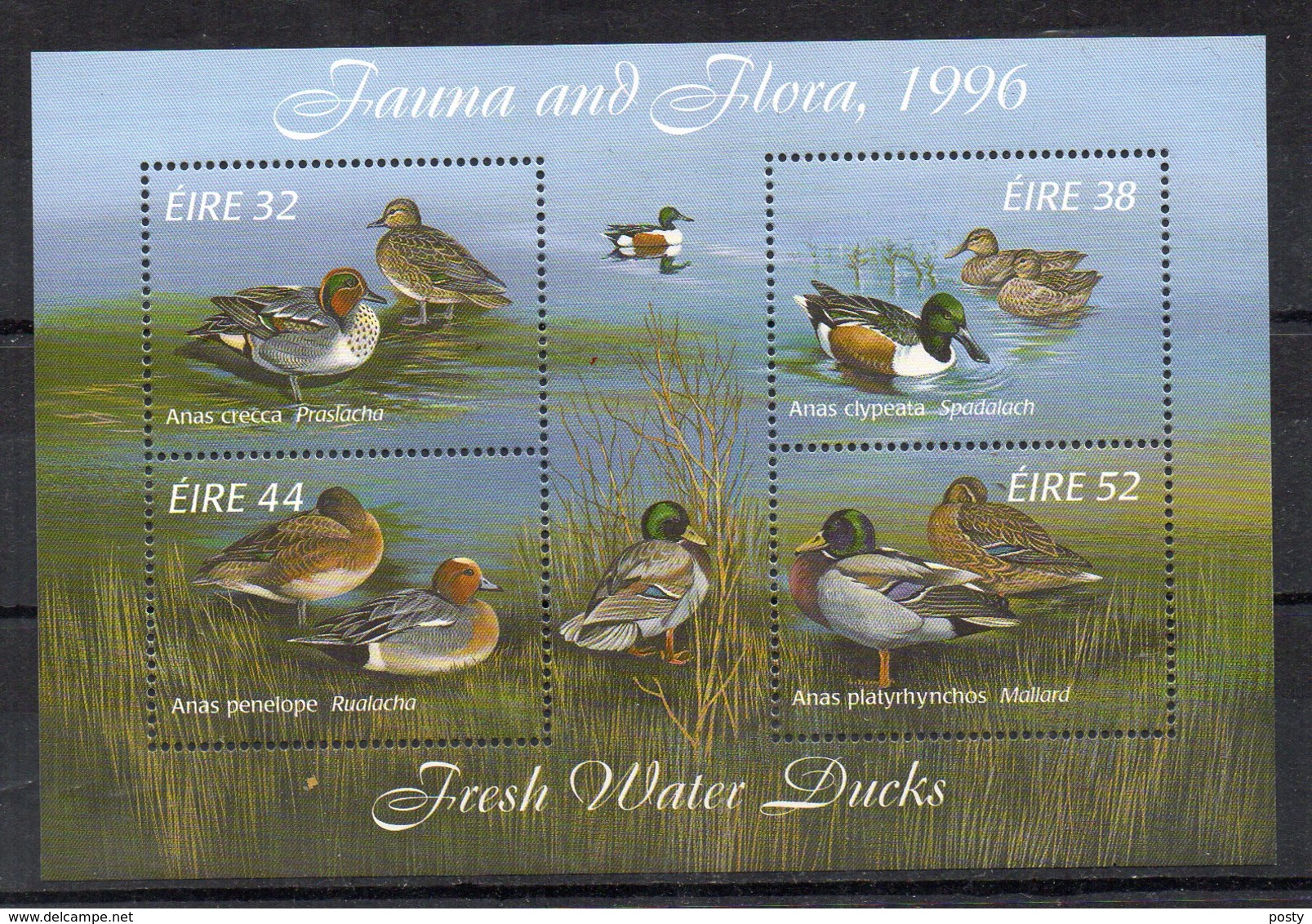 B/F - M/S - IRLANDE - IRLAND - EIRE - OISEAUX - VÔGEL - BIRDS - DUCKS - CANARDS - ENTEN - 1996 - - Hojas Y Bloques